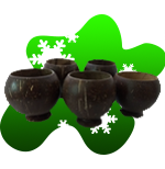 kava cups