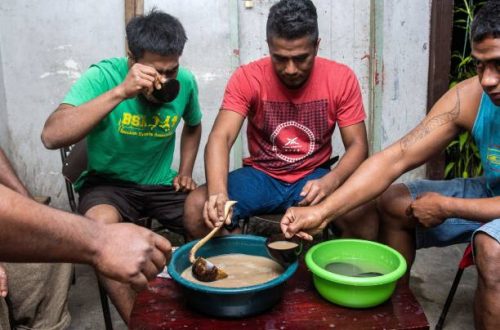 fijikava