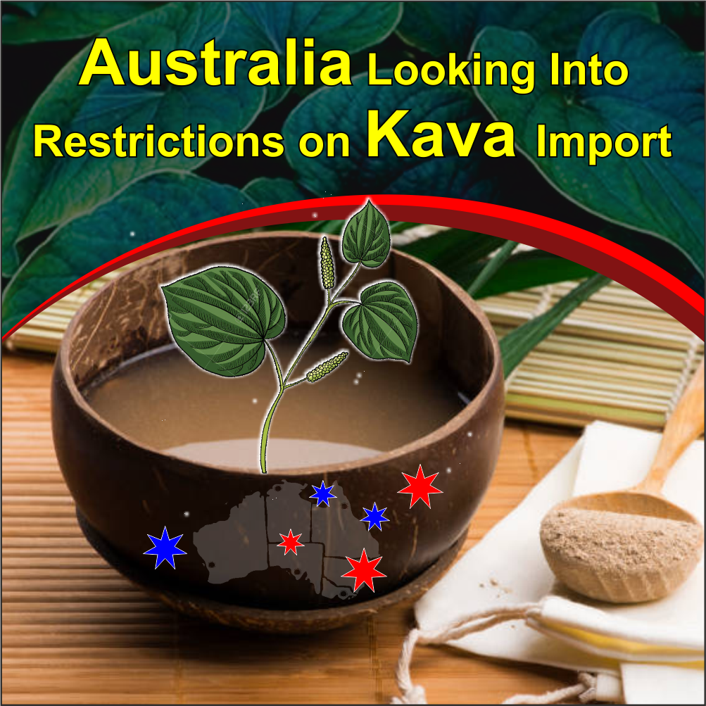 Australia looking into Restrictions on kava import Kings Kava New Zealand